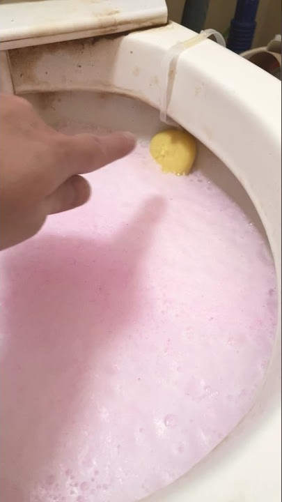 The Pink Stuff Power Foaming Toilet Cleaner VS Disgusting Toilet