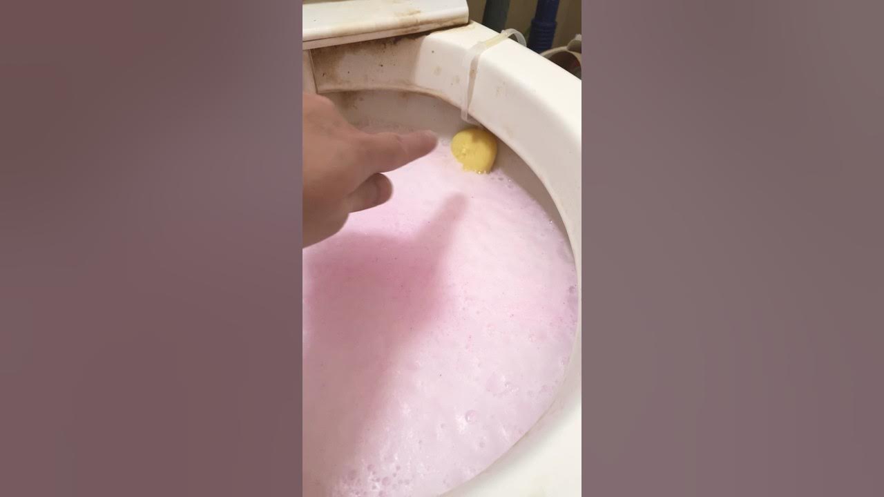 The Pink Stuff Power Foaming Toilet Cleaner VS Disgusting Toilet