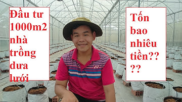 05-Làm 1000m2 nhà lưới dưa lưới tốn bao nhiêu tiền????/////