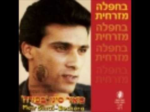 מאיר סיני אני מג נון 