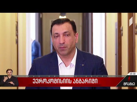 ევროკომისიის წარმომადგენლის განცხადება - შეფასებები
