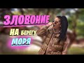 Зловоние в городе Большой Камень ! Кто виноват ?