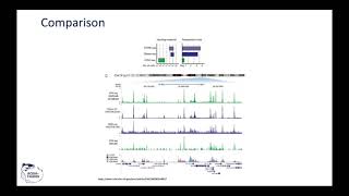 AQUA-FAANG Training: ATAC-seq