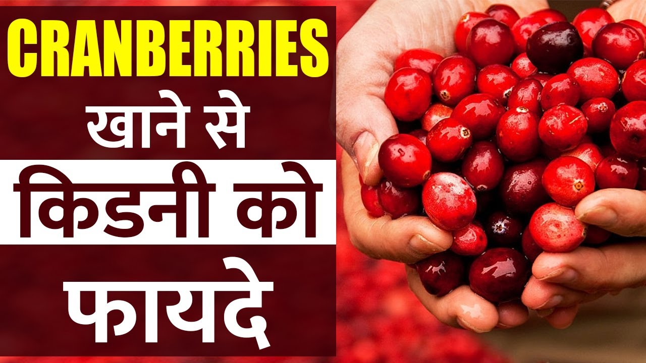 Cranberries Benefits Ayurvedic Kidney Care In India YouTube