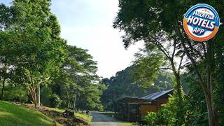 Sepilok B&amp;B | Sandakan, Malaysia | Hotel Review 🌟