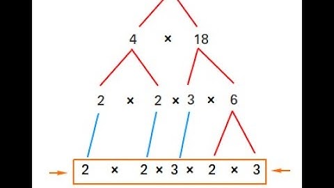 Prime Factorization in Exponential Notation