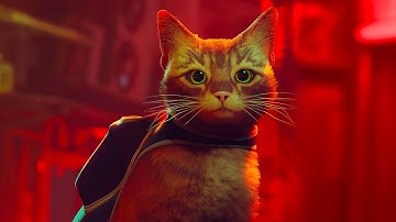 Stray Fix Stutter and Lag Issues with DXVK(Vulkan) and RTSS lock| 1440p Nvidia 1080 ti