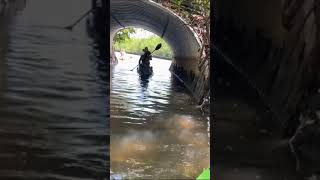 Kayaked to a hidden island and this is what I saw 🤩