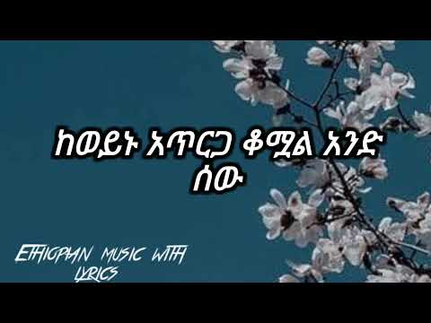 ቪዲዮ: የቱ ቴዲ ድብ ምርጥ ነው?