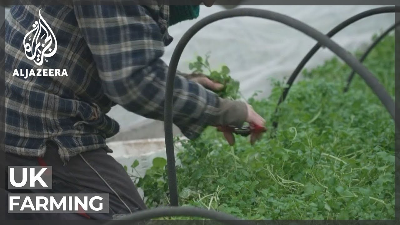 المملكة المتحدة تحفز الزراعة المستدامة