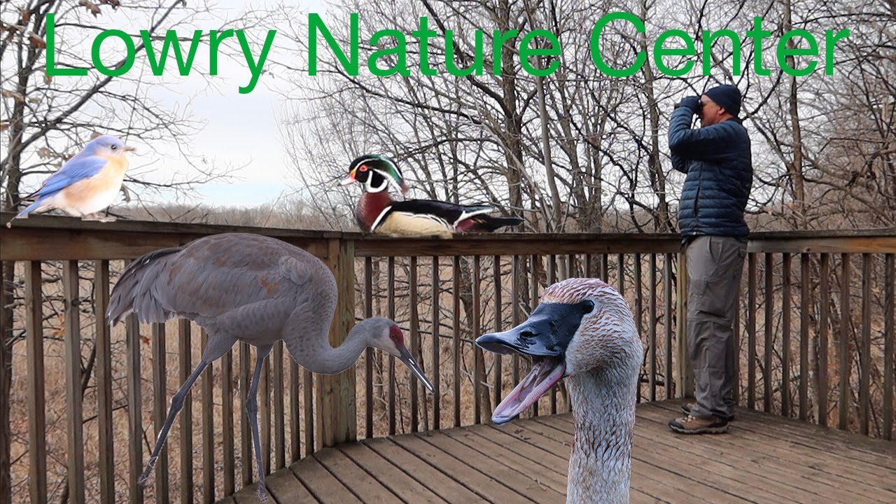 Lowry Nature Center Adventure - Lots of Birds, Interesting Trails and an Unexpected Fact about Bees!