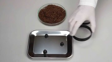 SpectraAlyzer - NIR analysis of tobacco