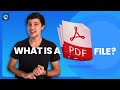 What is a PDF File? [Explore the details of PDF]