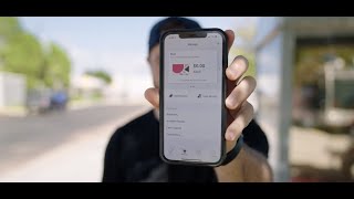 Flamingo Fares How-To