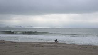 DSC 5508