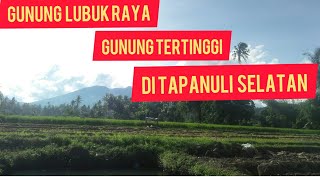 GUNUNG LUBUK RAYA  GUNUNG TERTINGGI DI TAPANULISELATAN