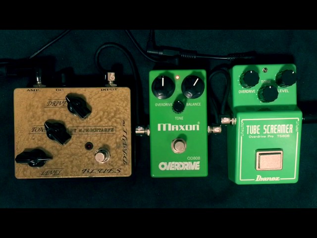 Analog.man True Vintage Mod TS808 vs Maxon OD808 vs MJM Blues