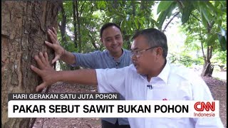 Pakar Sebut Sawit Bukan Pohon