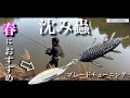 【3月のバス釣り】春におすすめの高比重ワーム・沈み蟲をブレードチューニングしてみたらまさかの… 一誠 光り蟲 使い方解説
