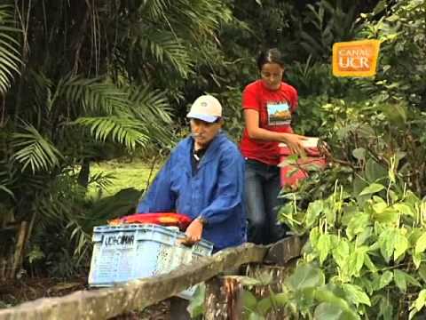 canal ucraina onlain Gerardo Umaña, biólogo Producida por Alejandra Fernández B. 2009