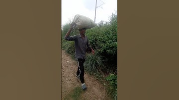 #sad https://studio.youtube.com/channel/UC/collaboration/UCHWv5JRrcYq-0hLgMDljOhA