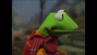 Kermit Dies In A Tragic Bike Accident