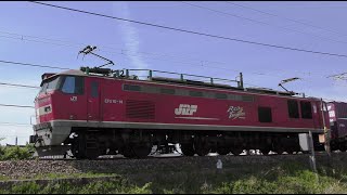 ﾚｯﾄﾞｻﾝﾀﾞ-EF510-14牽引高速貨物【4K】4095ﾚ信越本線下り