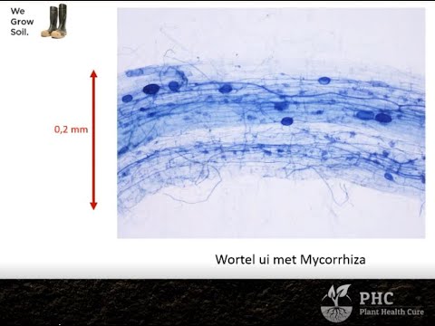 What About Soil webinar #1 -  Pius Floris