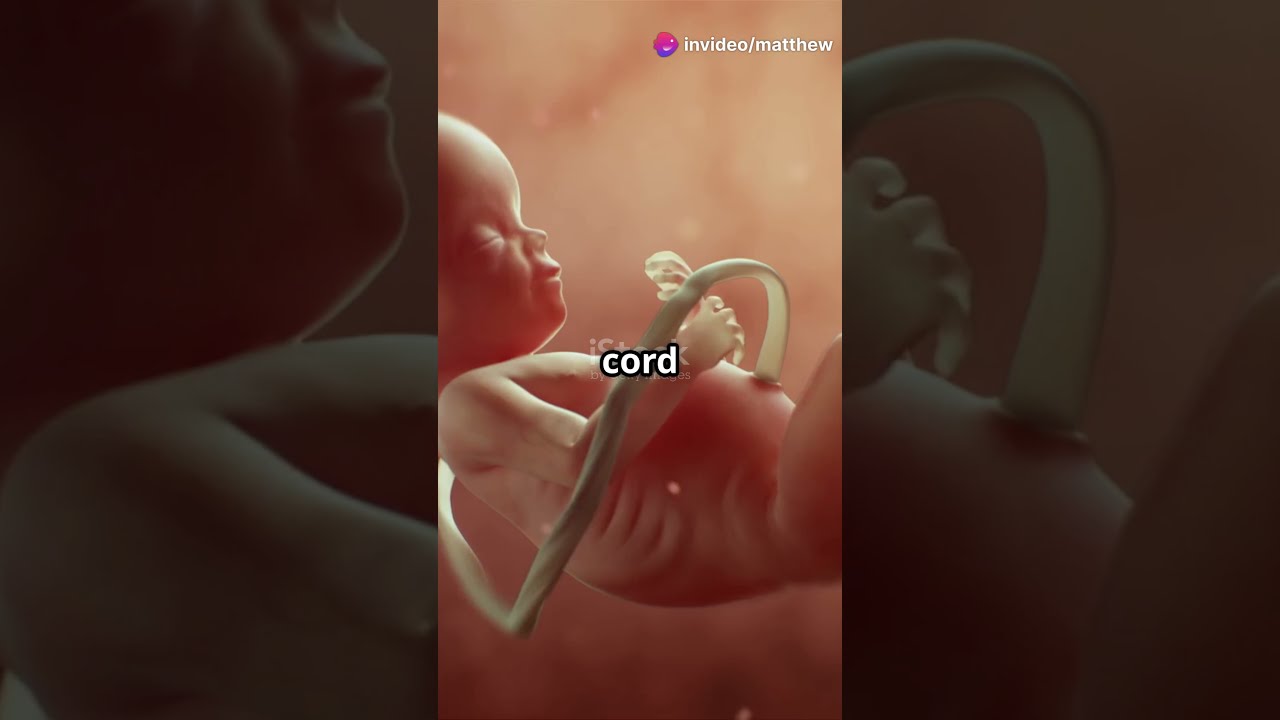 Mind Blowing Twin Fingerprint Facts 