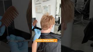 PIXIE CHECKING: Complete Tutorial Click Created From! ๐ฅ๐ฅ๐ฅ