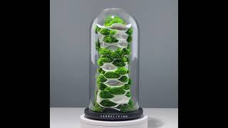 The Chloroplast - a preserved moss terrarium botanical sculpture by TerraLiving
