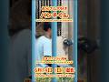 パンチくん【2026年6月14日撮影】お兄さん大好きパンチくん #がんばれパンチ #punch #HangInTherePunch #市川市動植物園【Punch the monkey】N01