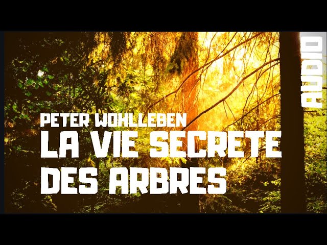 AUDIO  La vie secrète des arbres - Ch 1 - amitié - Peter