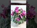 RS-Tsyganka Aza / РС-Цыганка Аза (S. Repkina) #grayturtleviolets