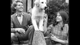 Sarah Miles Tribute