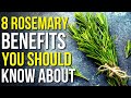 8 Benefits of Rosemary You Should Know! | Rosemary Uses and Benefits