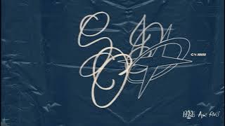 C'est de l'or (Remix)