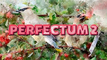 Perfectum 2 Effect in Adobe Photoshop CC 2019 ( Tutorial )