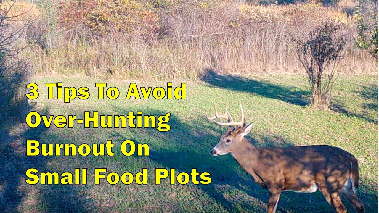 Micro Food Plot Setup Tips To Prevent OverHunting Burn Out YouTube