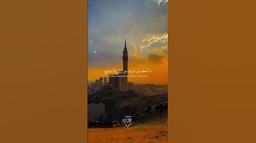 #سورة_العنكبوت #شاشه_سوداء #live #عبدالرحمن_مسعد
