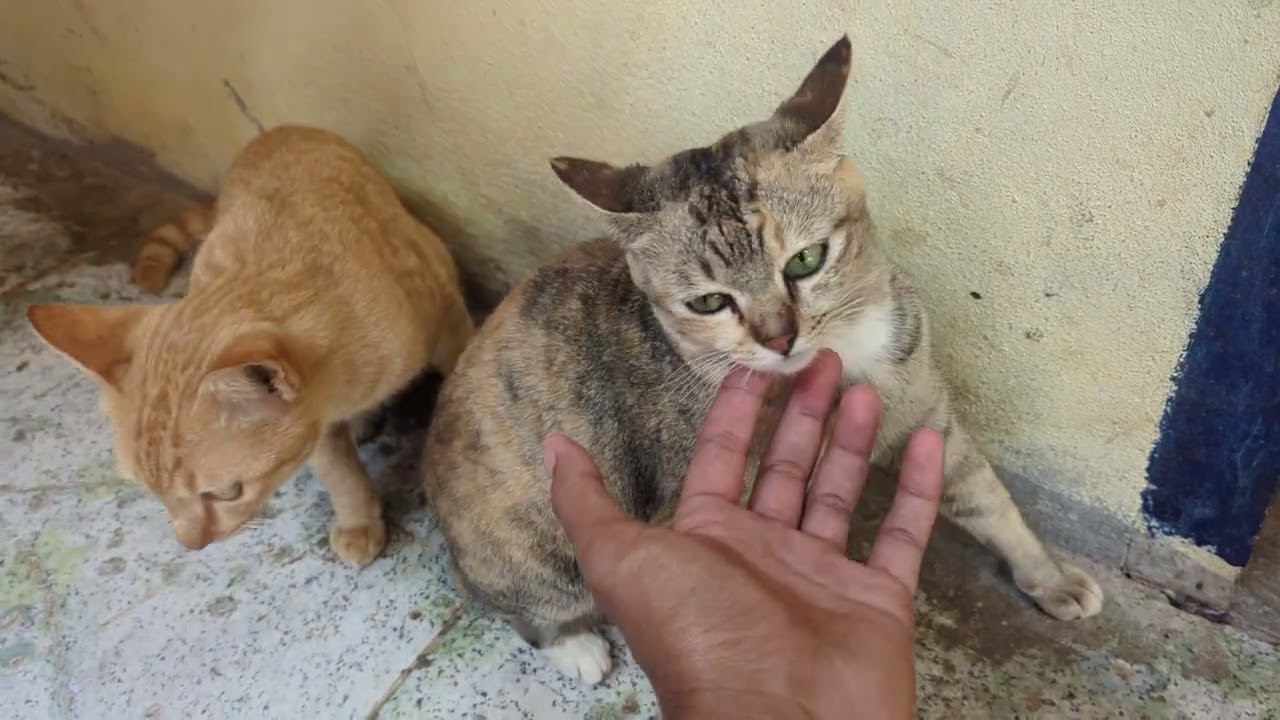 They are almost at mealtime.