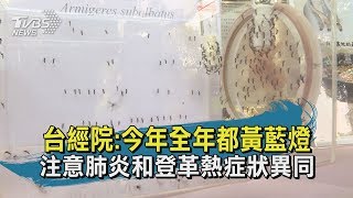 【TVBS新聞精華】20200430  十點不一樣　台經院：今年全年都黃藍燈　注意肺炎和登革熱症狀異同