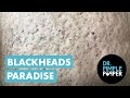 The Blackheads Paradise