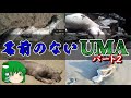 【ゆっくり解説】名前のないUMAその2