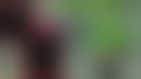 Script Point Blank Strike 2020 | Terbaru