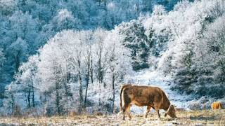 Saco De Estopa - Chico Rey E Paraná Letra O Melhor Do Entretenimento E Da Música Sertaneja