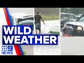 Queensland pounded by severe weather | 9 News Australia