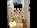 can u do it?