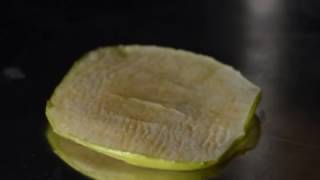 Electrohydrodynamic Drying of an Apple Slice