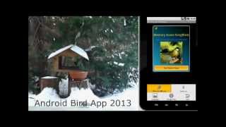 Bird Memory - Singvogel Memory Spiel screenshot 1